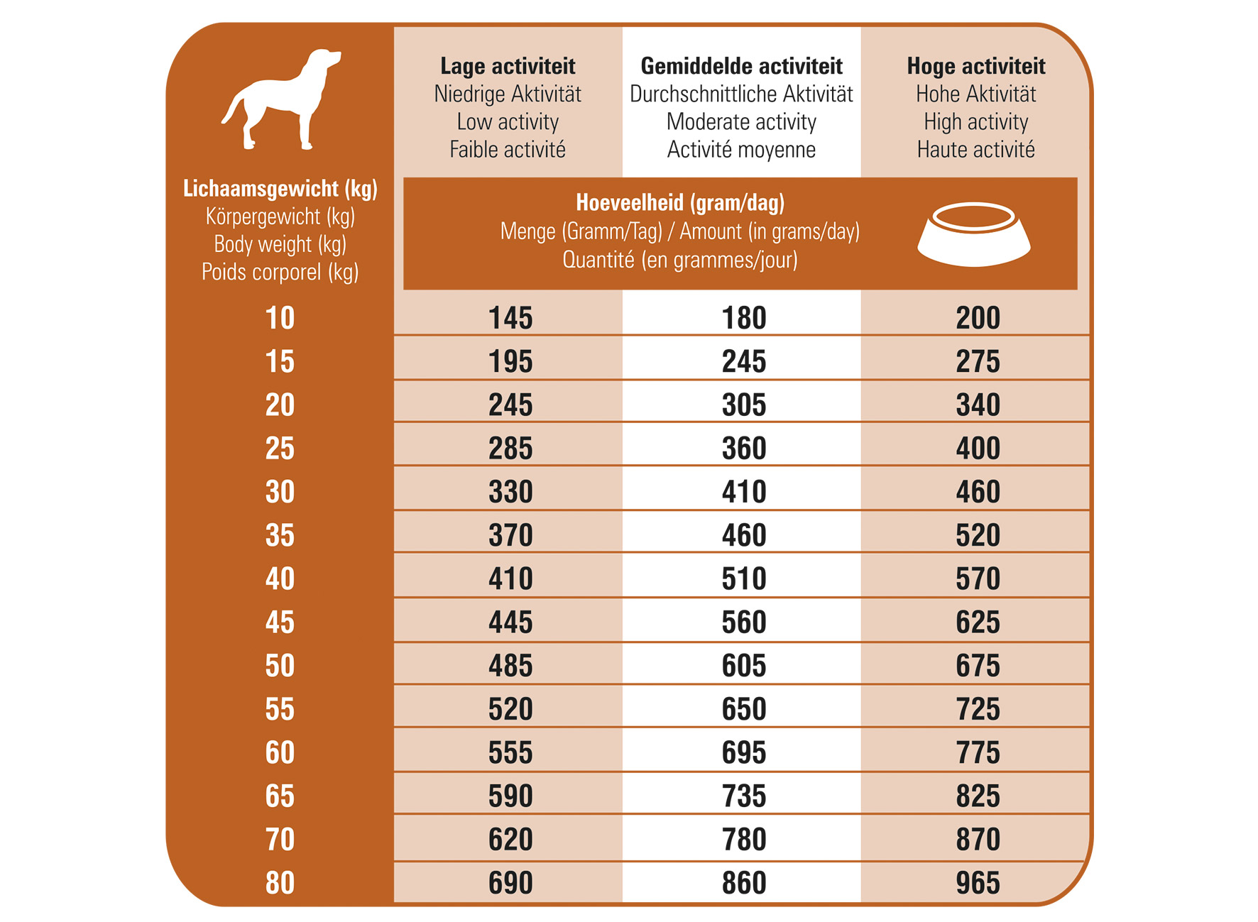 Ration journalière des croquettes hypoallergéniques pour chien